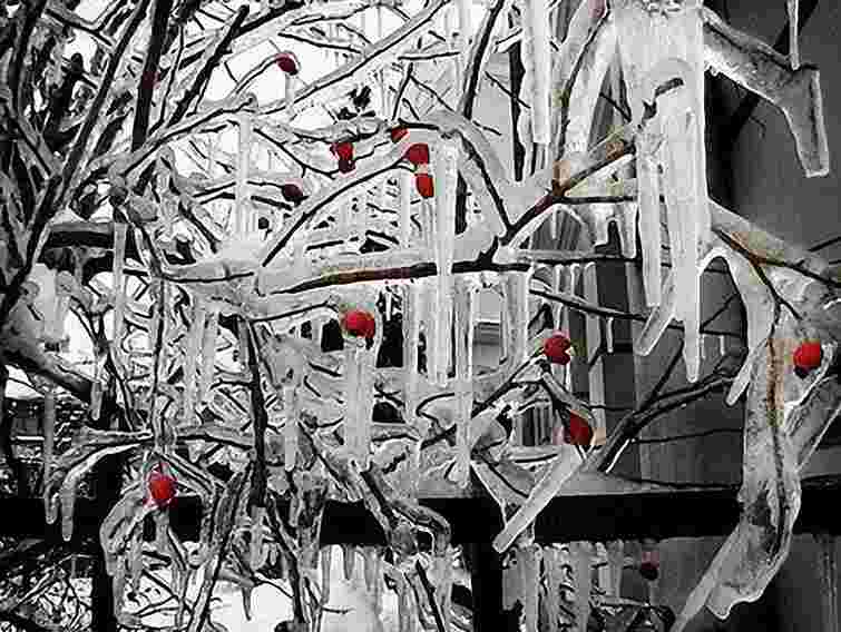 В Україні потеплішає з 11 лютого