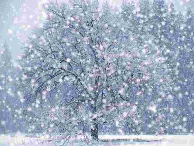 На вихідних в Україні потепліє, проте сніжитиме