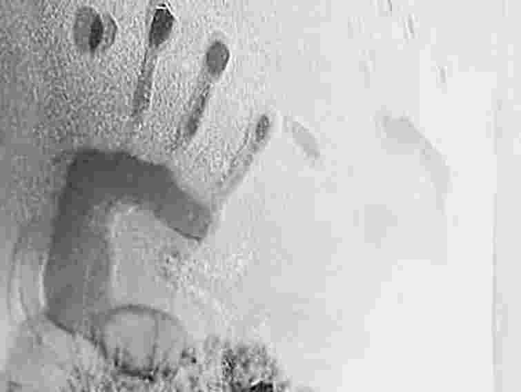 У Львові волонтери врятували від переохолодження 6 п’яних