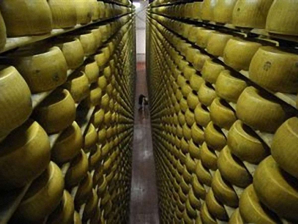 Три українські сирзаводи потрапили в немилість Росії