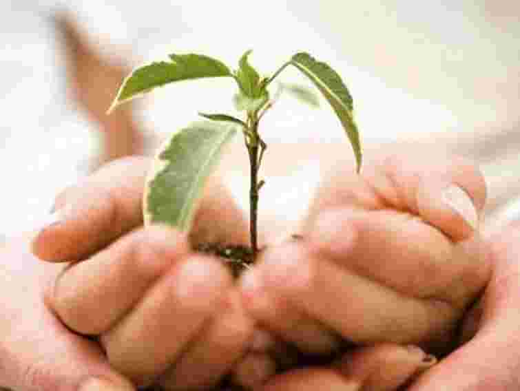 1 березня оголосять благодійника року на Львівщині