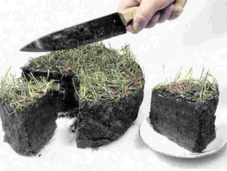 На Прикарпатті фірма 10 років незаконно користувалась землею