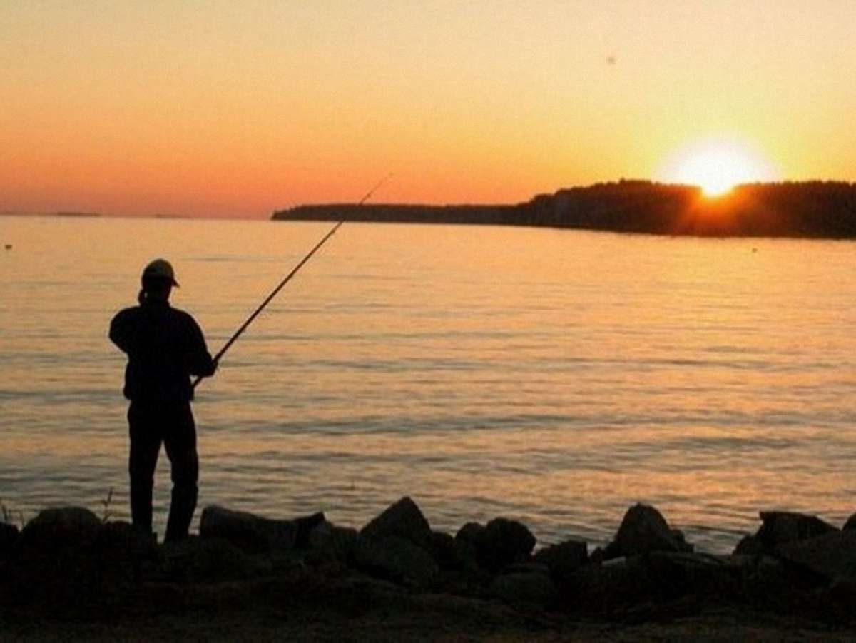 Роботу Львівдержрибоохорони визнали незадовільною