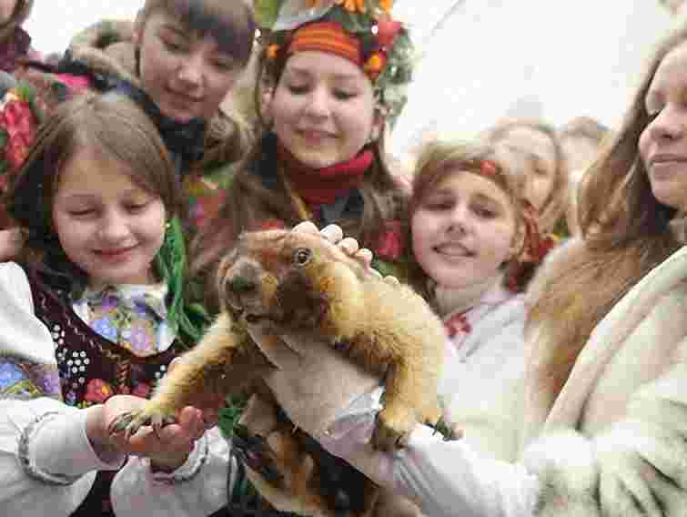 У Львові завтра відзначатимуть Свято бабака