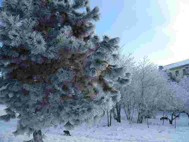 На Львівщині на вихідних госпіталізовано 6 осіб з обмороженням