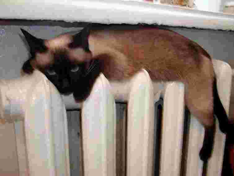 Львів’яни заборгували за теплопостачання 112 млн грн