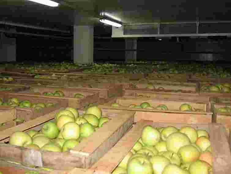 На Львівщині збудують овочесховище потужністю 10 тис. тонн