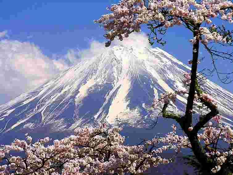 У Львові покажуть традиції краси Японії