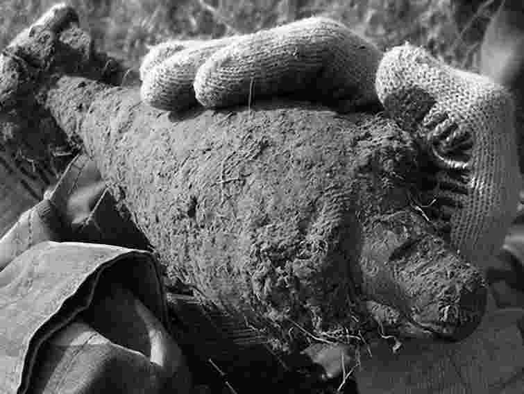 У Львівській області на цвинтарі знайшли міну