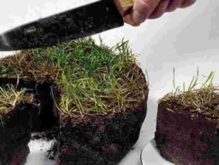 Чиновник «дозволив» привласнити 6 земельних ділянок у Львові 