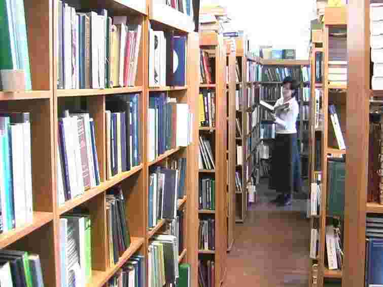 Фонди бібліотек України за 4 роки скоротились на 13 млн книжок