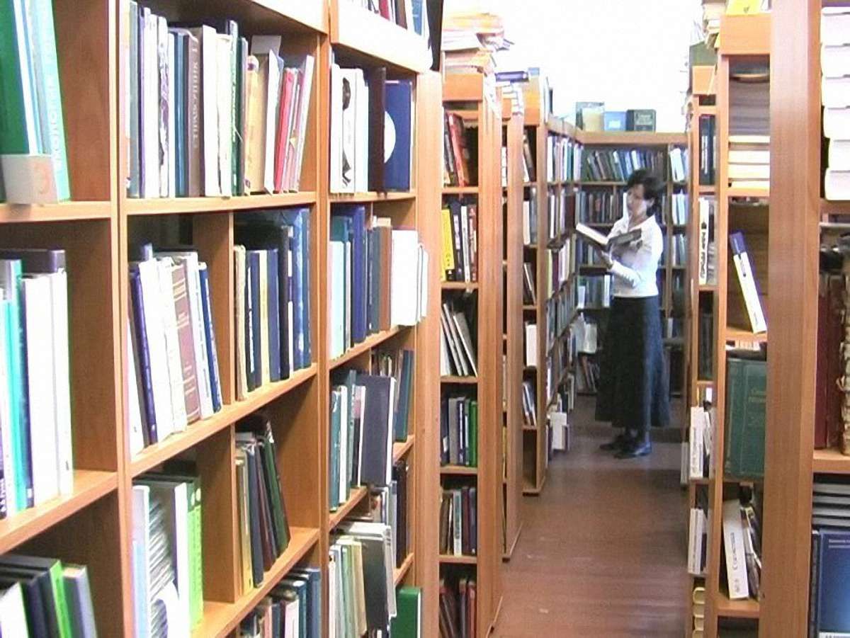 Фонди бібліотек України за 4 роки скоротились на 13 млн книжок