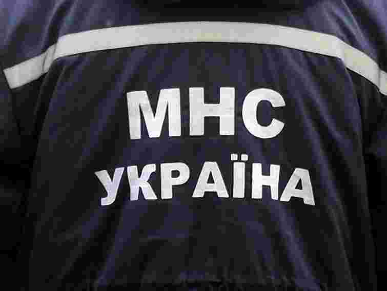 На Львівщині підпалили квітковий павільйон