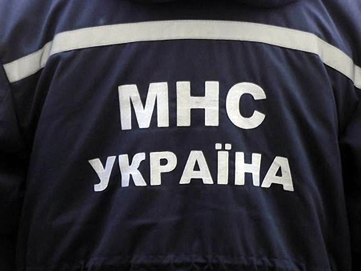 На Львівщині підпалили квітковий павільйон
