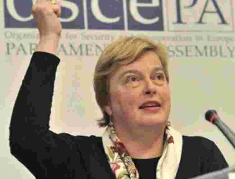 Справа Тимошенко вплине на головування України в ПА ОБСЄ