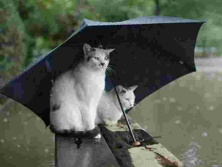 З понеділка в Україні – плюсова температура