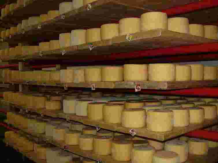 «Сирні війни» коштують українським виробникам $426 млн щомісяця