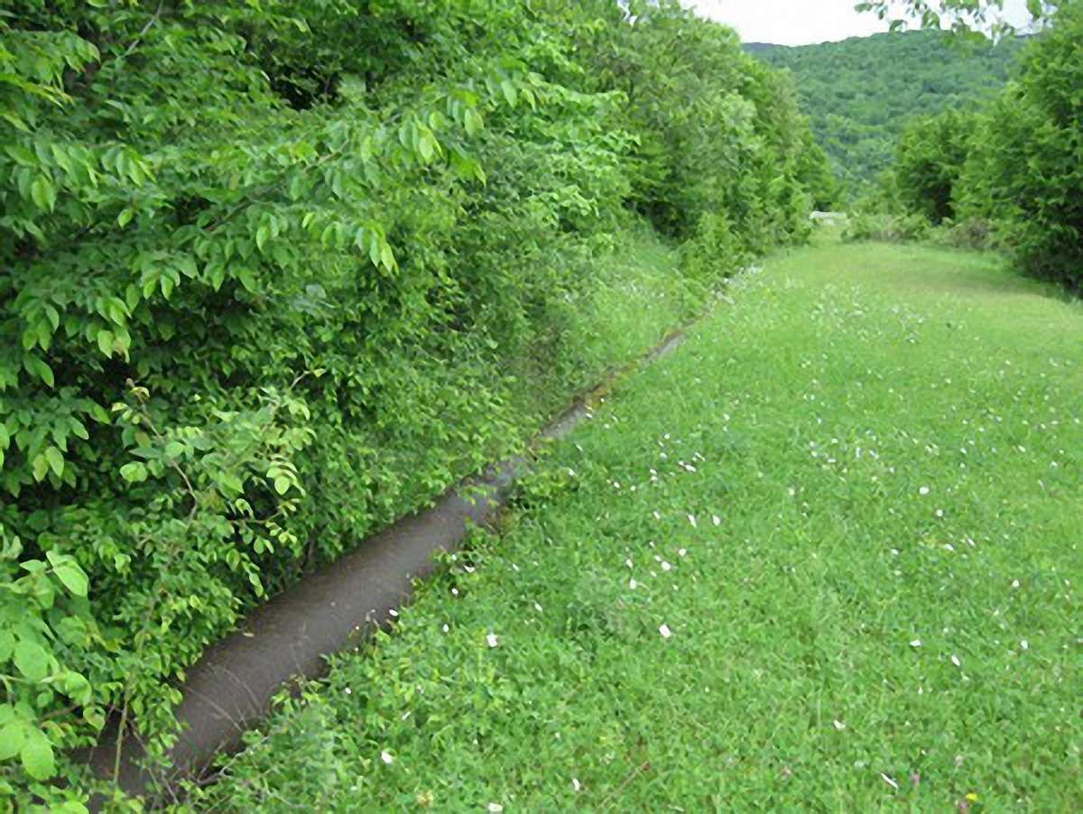 В Україні викрили підпільний трубопровід зі спиртом