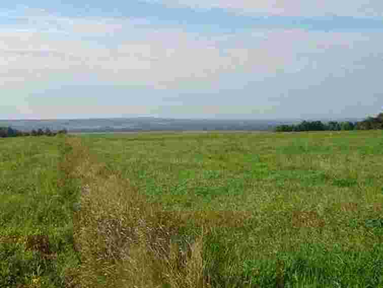 На Волині сільрада незаконно передала у власність 0,4 га землі