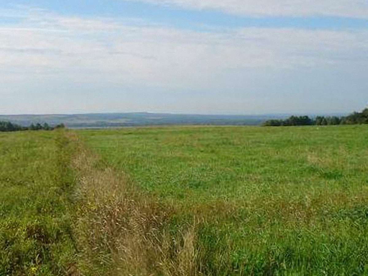 На Волині сільрада незаконно передала у власність 0,4 га землі