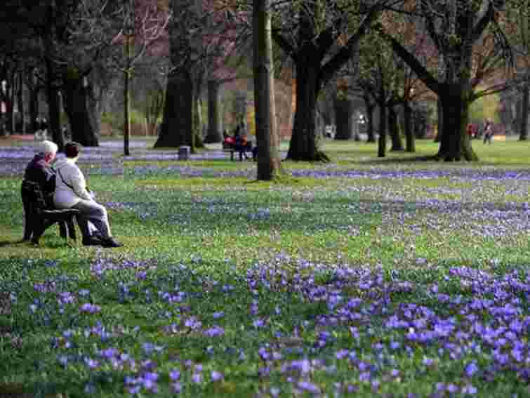 Сьогодні в Україні – до 14 градусів тепла