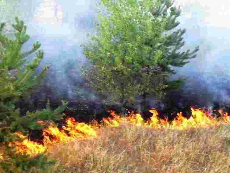 У Львові закликають не спалювати сміття