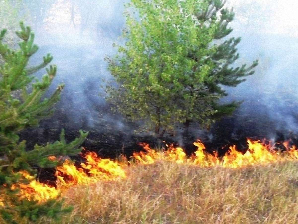 У Львові закликають не спалювати сміття