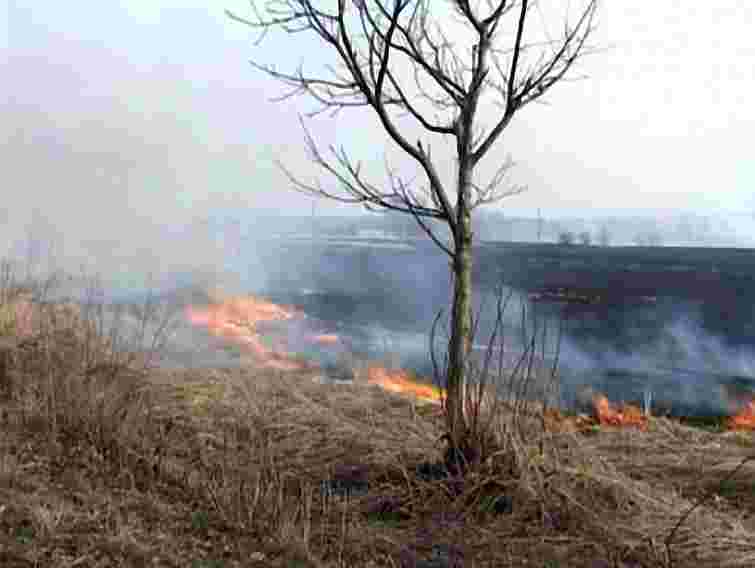За спалювання трави на Львівщині склали понад 200 протоколів