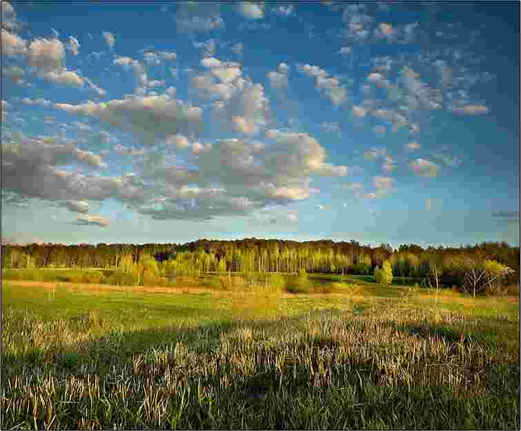 Завтра в Україні до 19° тепла