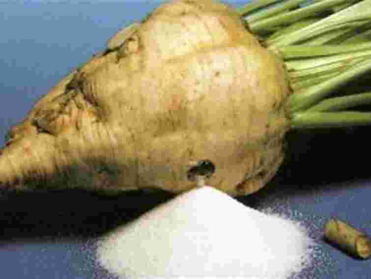 Україна домовляється про експорт цукру до Азії