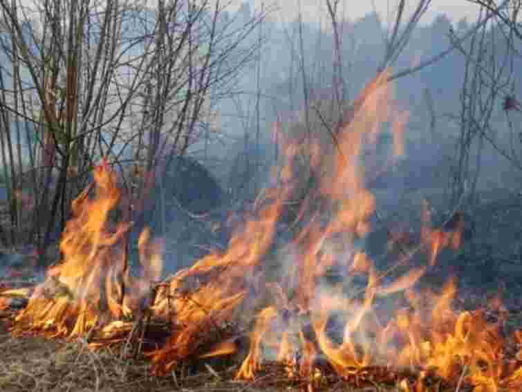 У Львові за березень сталося 65 пожеж через спалювання трави