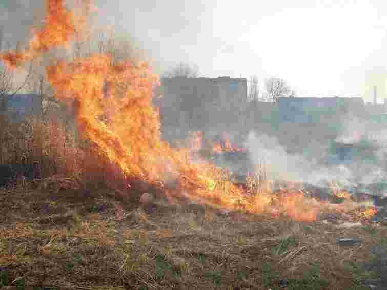 На Львівщині за добу сталося 20 пожеж сухої трави