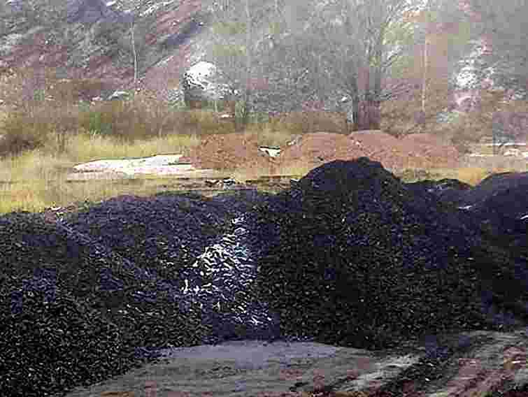 Чиновник РДА на Львівщині купив вугілля за завищеними цінами