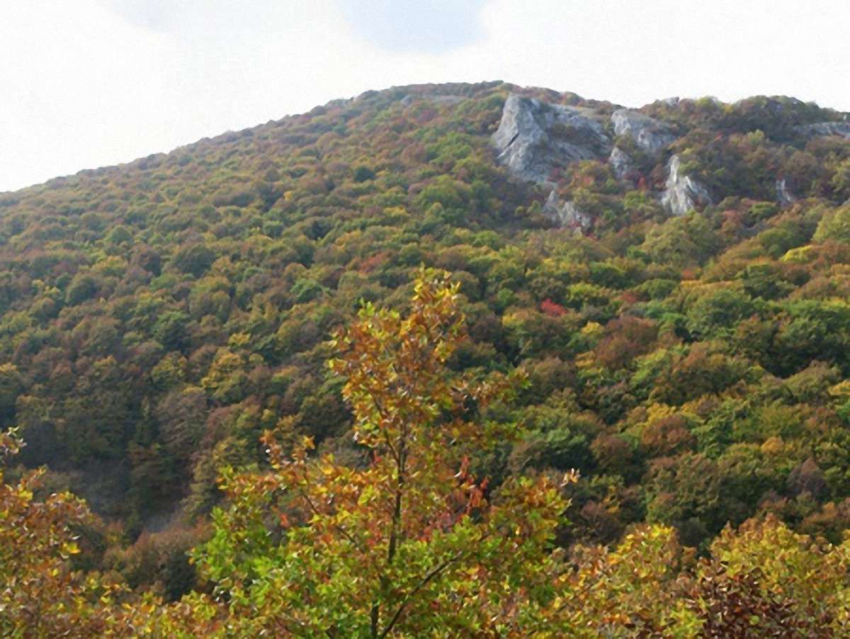 У горах Криму другий день шукають глухонімого підлітка