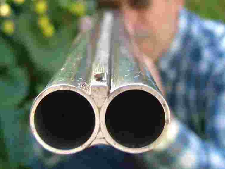 На Одещині під час полювання застрелили 13-річного загонича