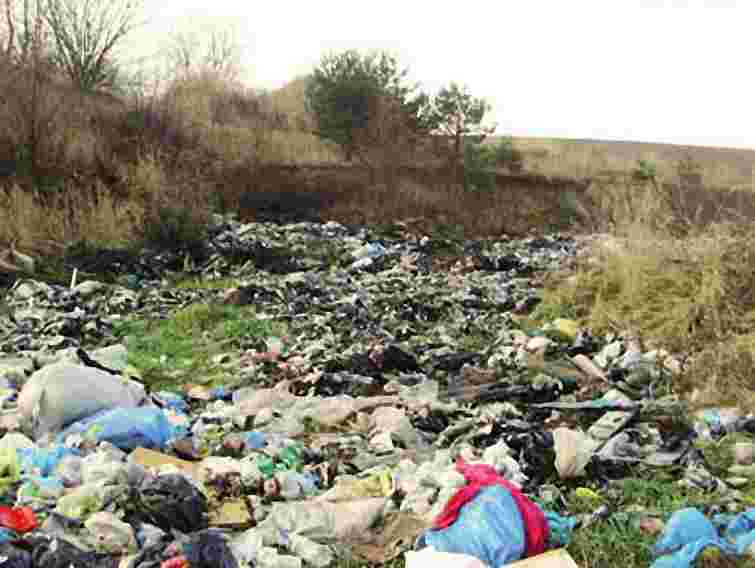 На Львівщині ліквідовано 225 стихійних сміттєзвалищ