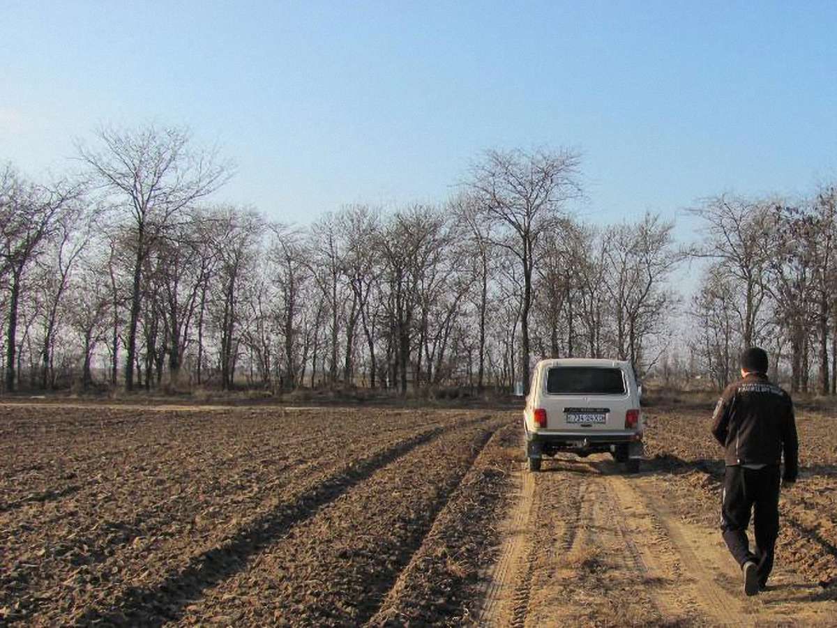 Життя на Вільній Україні