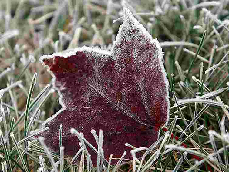 Завтра на заході України – заморозки