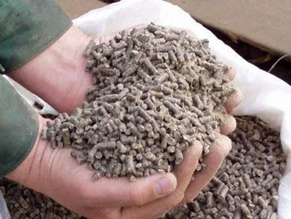 Українці несли з Білорусі 20 ящиків цигарок і 12 мішків комбікорму