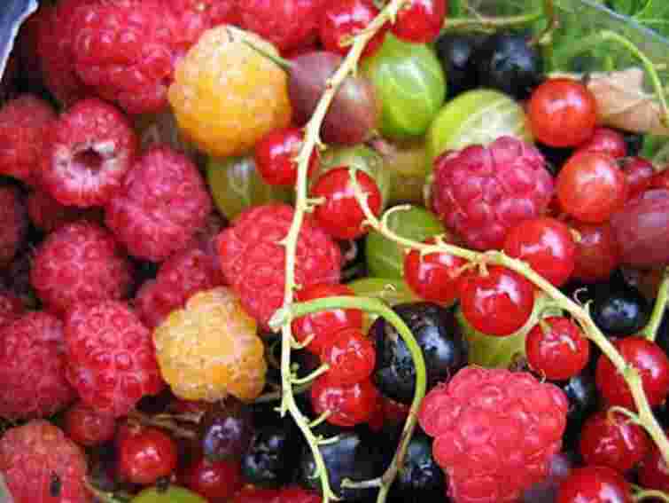 Майже третина українців страждає від авітамінозу, - МОЗ