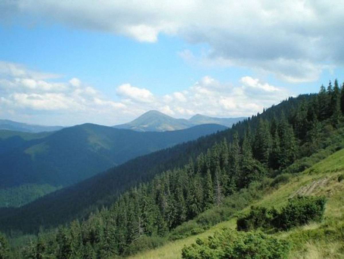 У Карпатах знайшли тіло студента, який пропав ще торік