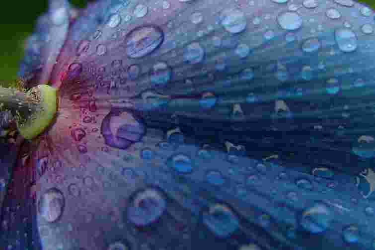 Завтра в Україні дощитиме, вдень до 19° тепла