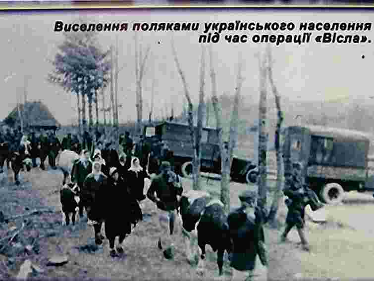 Янукович доручив вшанувати жертв операції «Вісла»