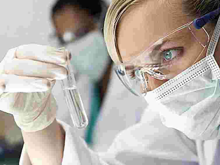 Уболівальники можуть привезти в Україну чуму, а вивезти кір, - СЕС