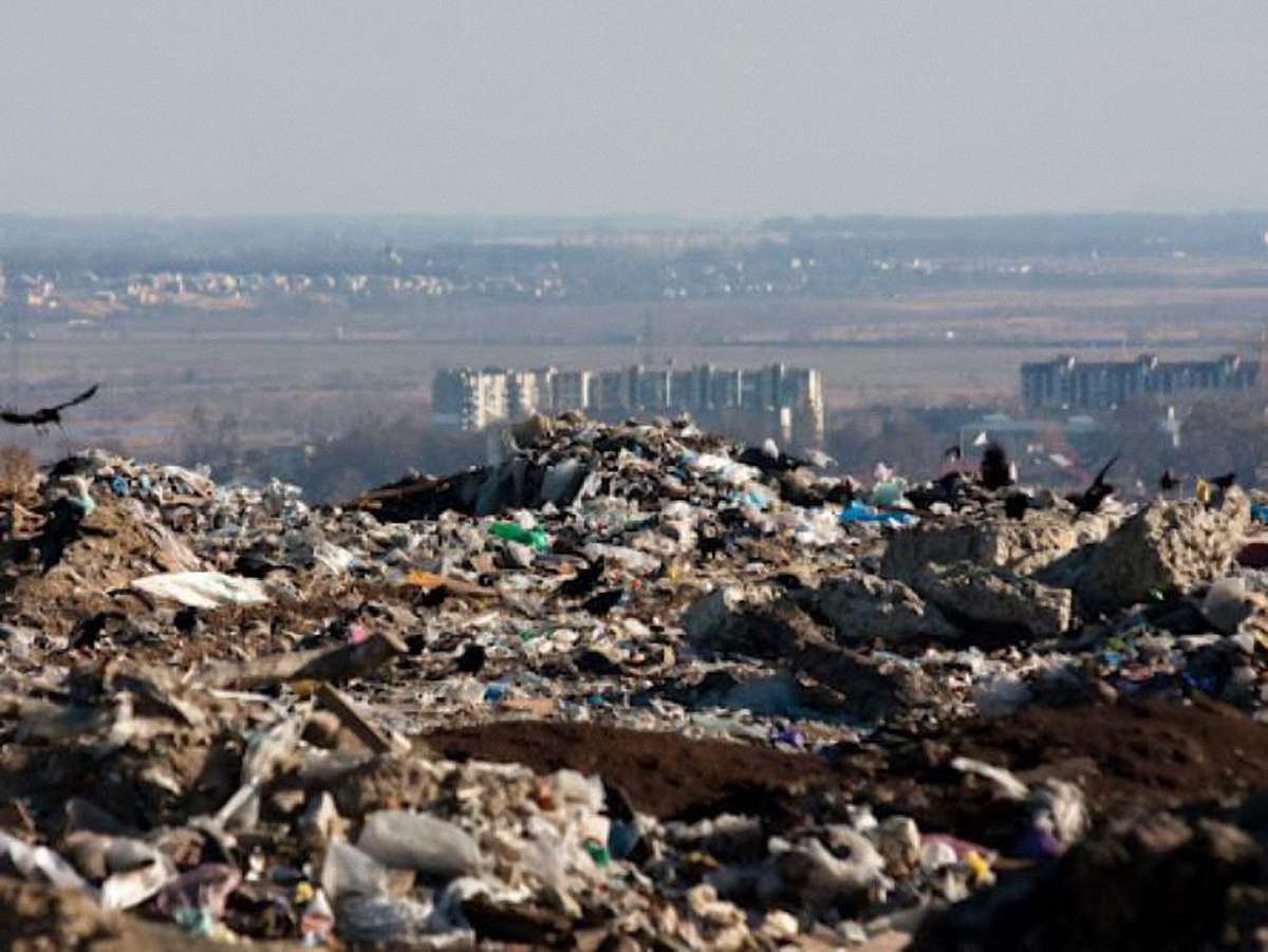 Львівські підприємці перекриють в’їзд на Грибовицьке сміттєзвалище