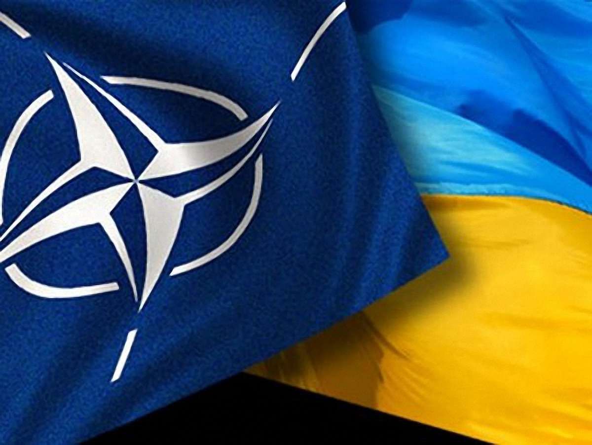 Янукович затвердив річну програму співробітництва Україна - НАТО