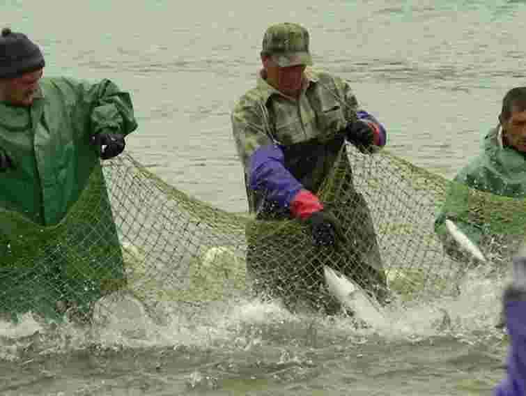 Депутати протестують проти керівництва Львівдержрибохорони