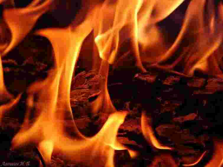 На Луганщині згорів депутат-регіонал