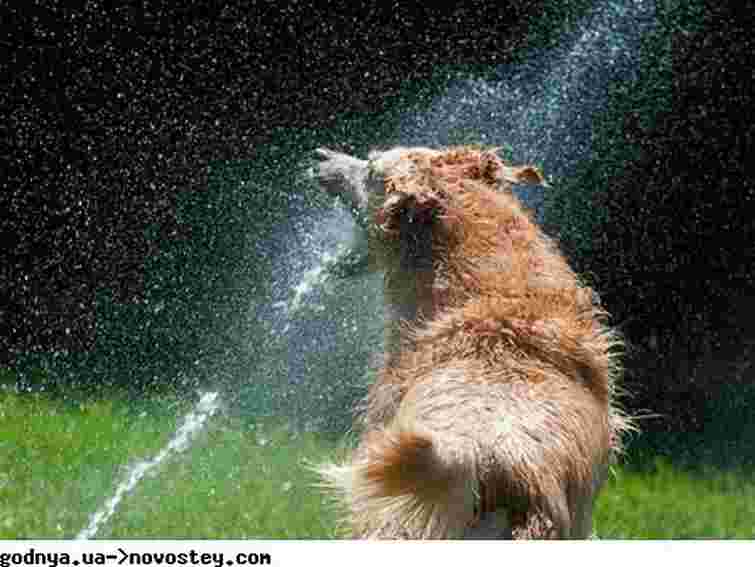 Завтра в Україні спека – до 32 градусів