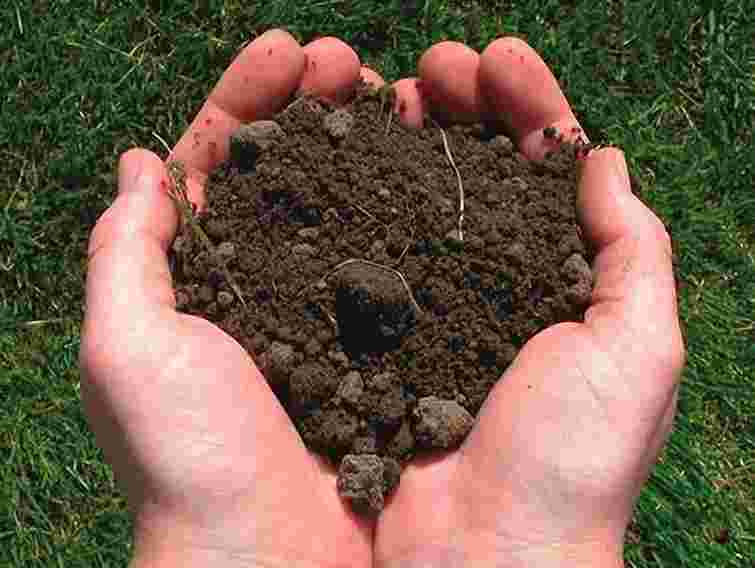 Двоє посадовців сільради незаконно віддали 1,6 га у Львові